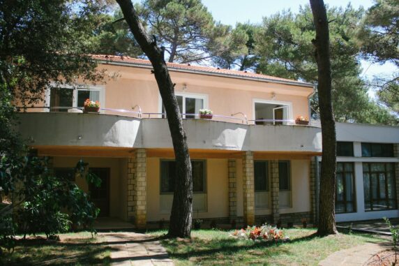 Photo 5