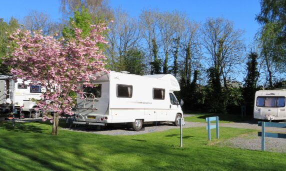 Cheddar Bridge Touring Park - photo 3