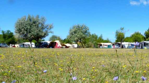 Camping Félix De La Bastide - photo 6