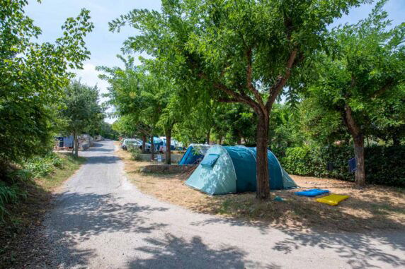 Camping La Vieille Ferme - photo 3