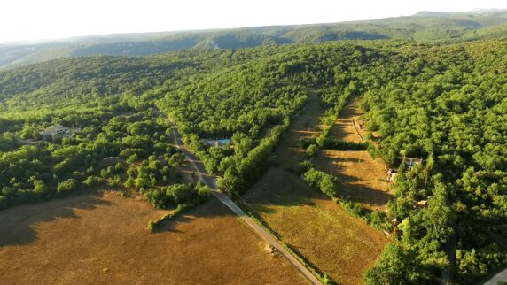 Domaine Le Clos Des Capitelles - photo 1