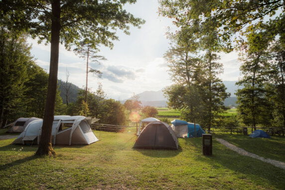Forest Camping Mozirje - photo 1