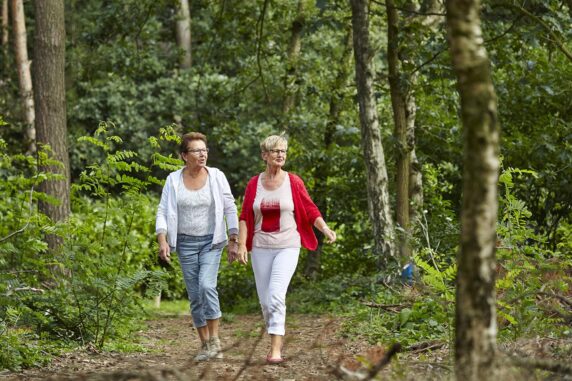 Recreatiepark Terspegelt - photo 25