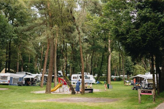 Camping Beerze Bulten - photo 3