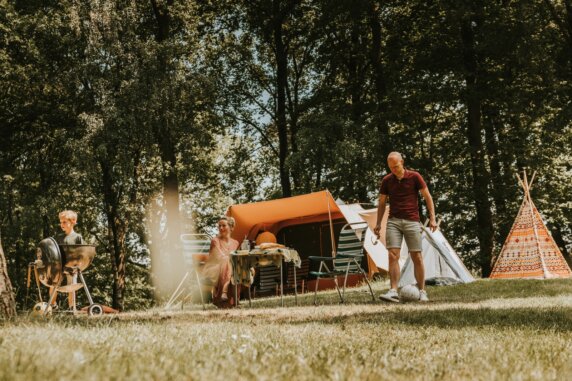 Camping Beerze Bulten - photo 5