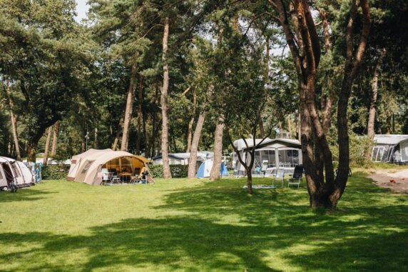 Camping Beerze Bulten - photo 4