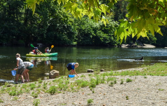 Camping Lou Rouchetou - photo 30
