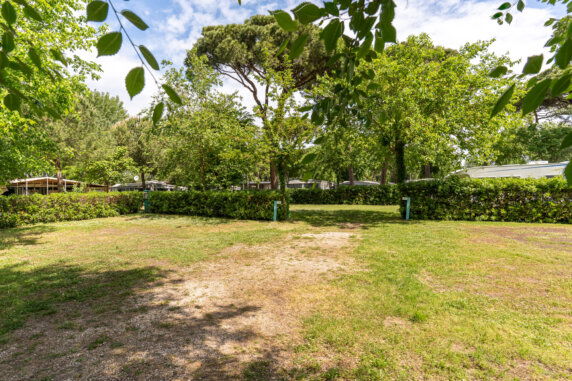 Club del Sole Adriano Family Collection - photo 20