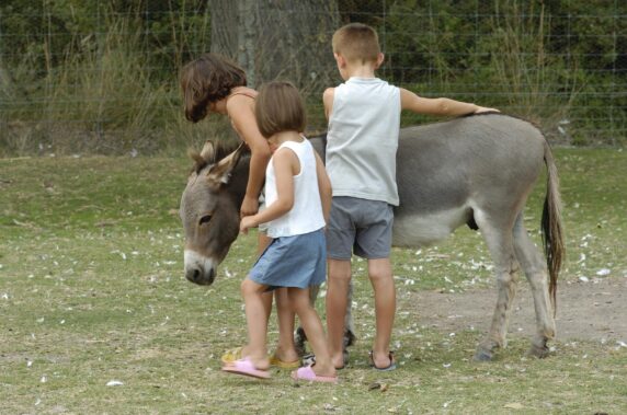 Camping Les Fontaines (Pyrénées-Orientales) - photo 9
