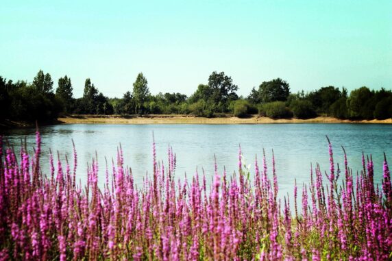 Camping Au Pré De L&#8217;etang - photo 13