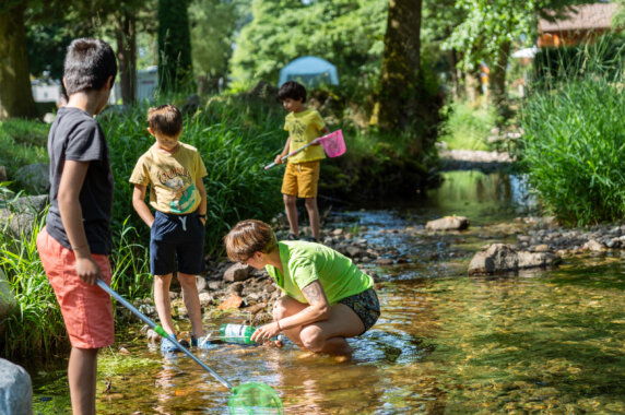 Camping Domaine De Champé - photo 7