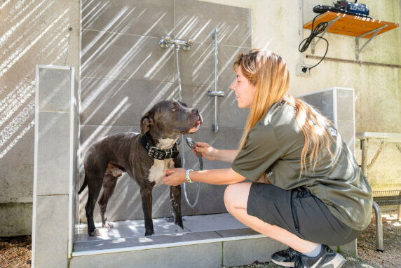 Club del Sole Roseto degli Abruzzi Easy Camping Village - photo 21