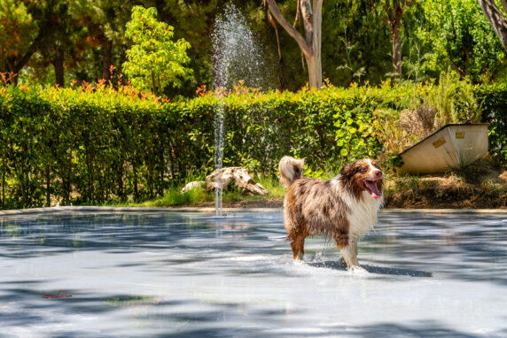 Club del Sole Roseto degli Abruzzi Easy Camping Village - photo 7