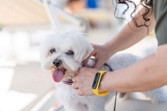 Club del Sole Roseto degli Abruzzi Easy Camping Village - photo 10