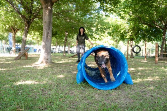 Club del Sole Stork Family Collection - photo 12