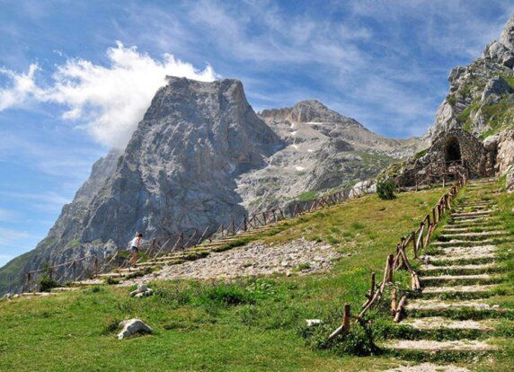 Club del Sole Stork Family Collection - photo 16