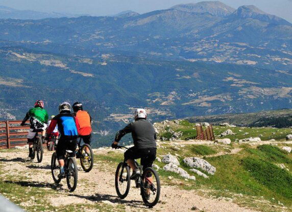 Club del Sole Stork Family Collection - photo 17