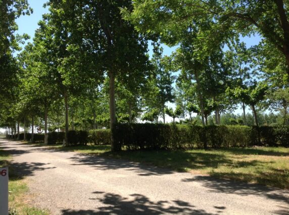 Camping Saint-Meen - photo 4