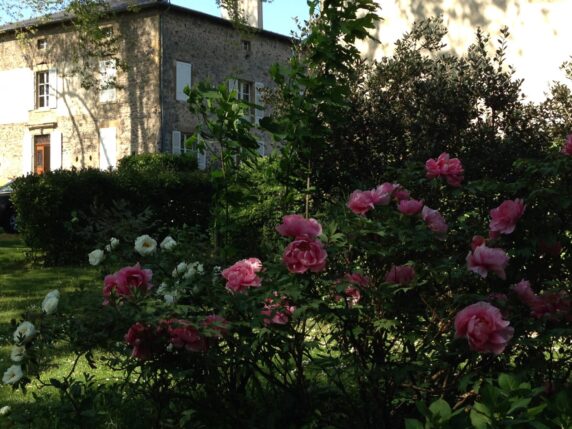Domaine La Bonne Etoile - photo 6