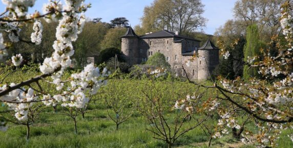 Domaine La Bonne Etoile - photo 5
