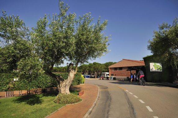 Eurocamping - photo 13