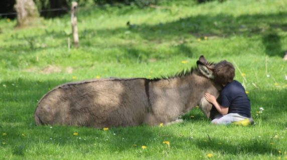 La Ferme De Ronfil - photo 8