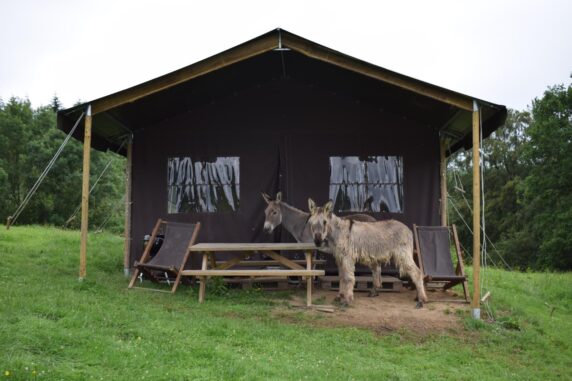 La Ferme De Ronfil - photo 9