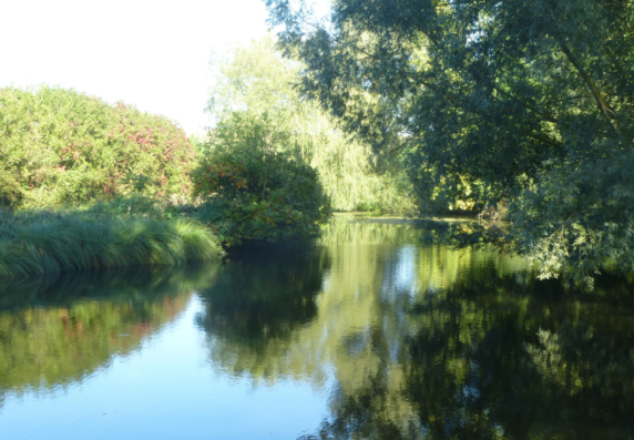 Camping Les Etangs Du Levant - photo 1