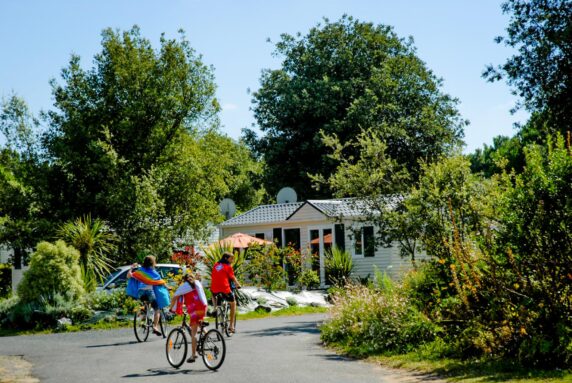 Camping L’Île Blanche - photo 8