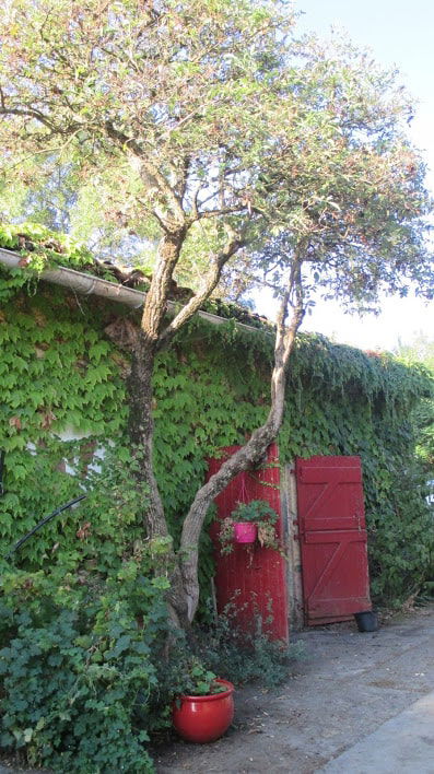 camping de Soulere - photo 12