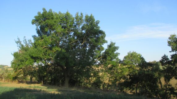 camping de Soulere - photo 4