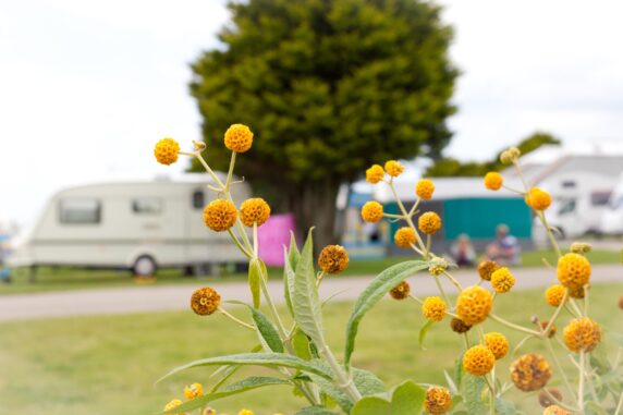 Tencreek Holiday Park - photo 9