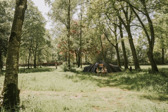 Vakantiepark Dierenbos - photo 1