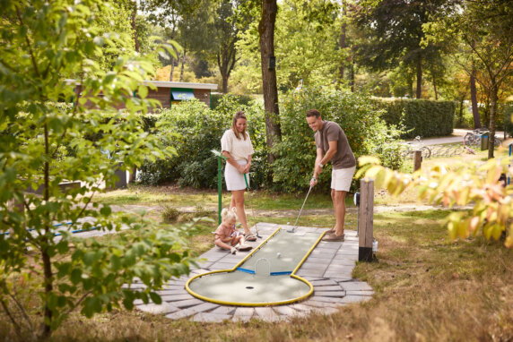 Rcn Vakantiepark De Noordster - photo 5