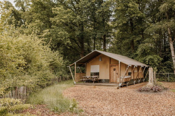 Ardoer Camping De Bosgraaf - photo 24