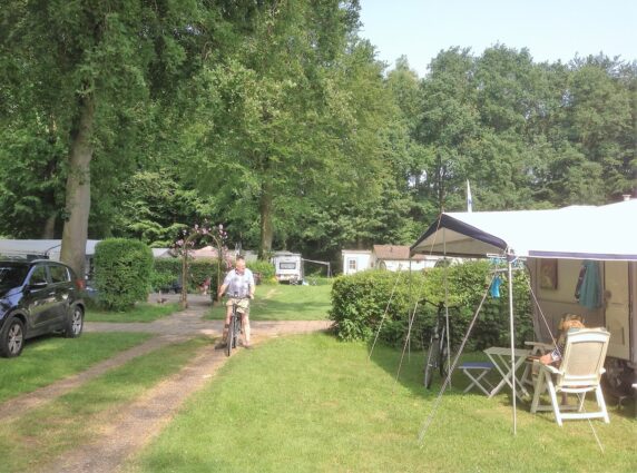 Camping Het Bosbad - photo 2