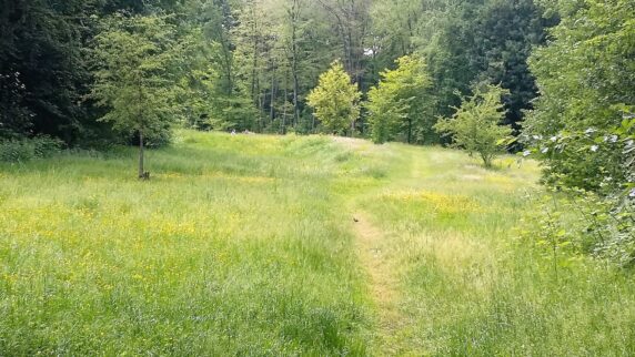 Camping Het Bosbad - photo 1