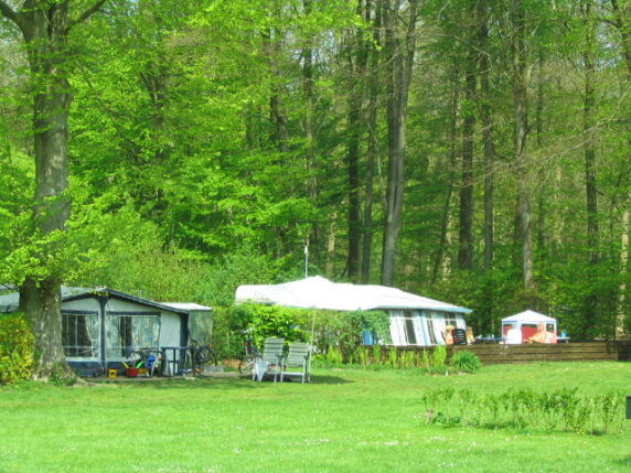 Camping Het Bosbad - photo 5
