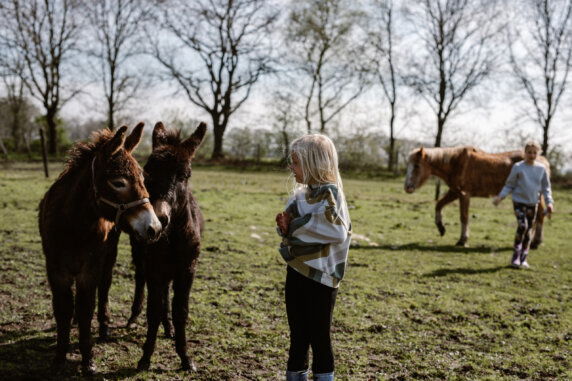 BoerenBed De Lange Weide - photo 1