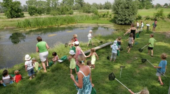 Hoeve Brugge Collection - photo 9