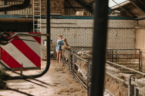 Boerderij Ameland - photo 10