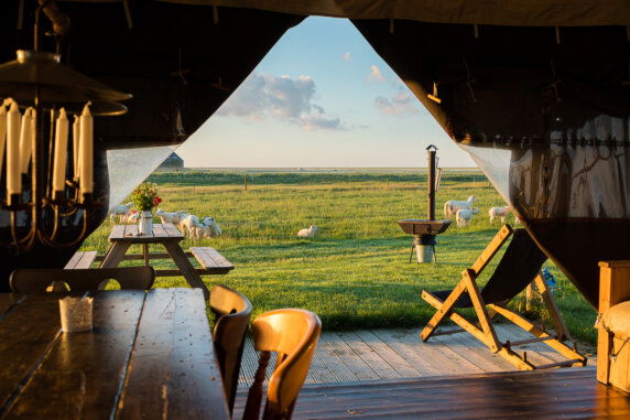 Boerderij Ameland - photo 13