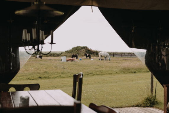 Boerderij Ameland - photo 18