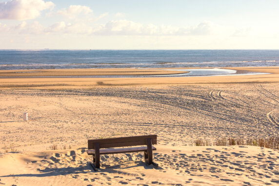 Boerderij Ameland - photo 19