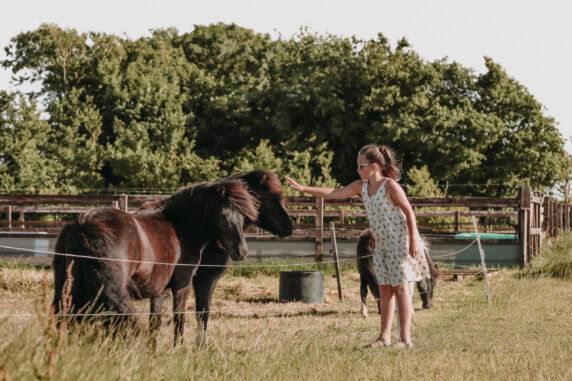 Boerderij Ameland - photo 2