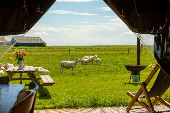 Boerderij Ameland - photo 20