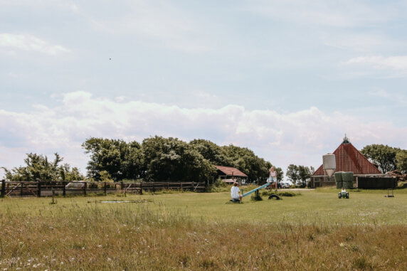 Boerderij Ameland - photo 7