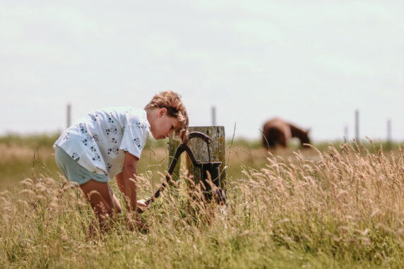 Boerderij Ameland - photo 8
