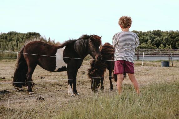 Boerderij Ameland - photo 9