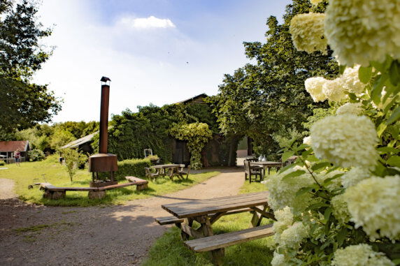 BoerenBed De Lange Weide - photo 13